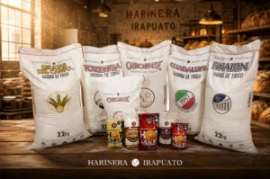 Técnicas de amasado para lograr panes perfectos: guía completa para principiantes y panaderos apasionados 17 harinas de harinera irapuato